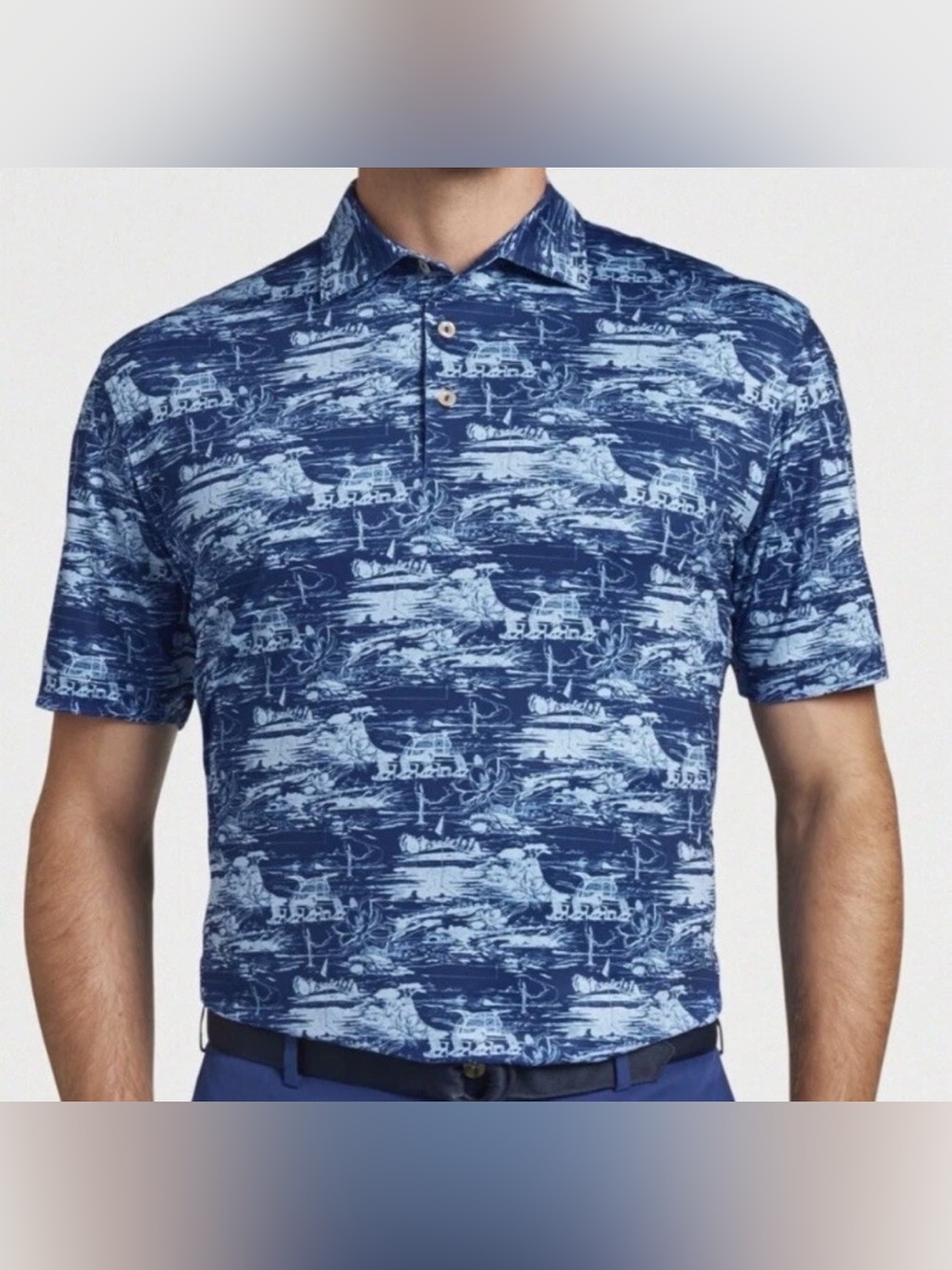Peter Millar Summer Comfort Polo L Blue Coastal Scenic Golf Performance Shirt